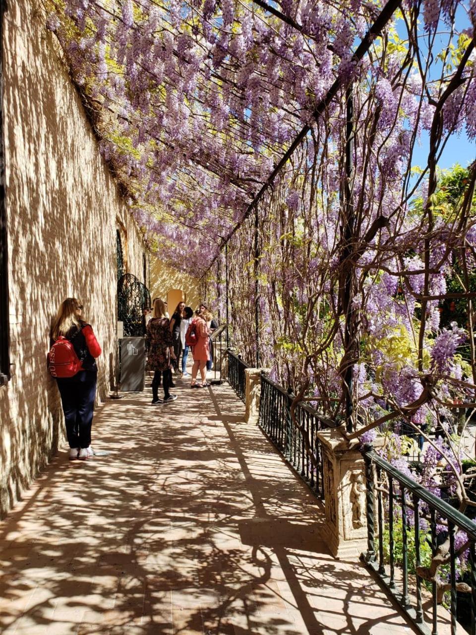 Apartamento Jardin De Santa Paula Sevilla Kültér fotó